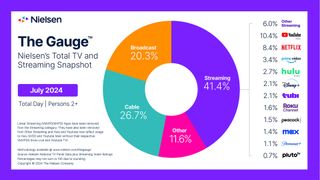 A pie chart showing how TV breaks down by platform and service