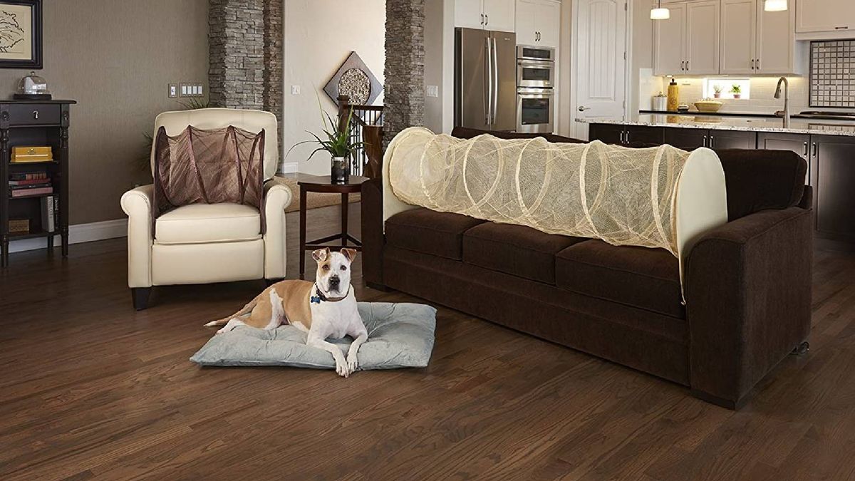 How to keep dogs off the couch and keep your furniture fresh | PetsRadar