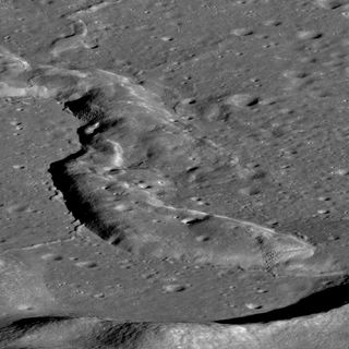 After lava flooded and filled the lunar mare basins, internal forces squeezed the volcanic basalt rock together and it broke and buckled into a complex pattern of wrinkle ridges that zigzag through the dark mare. The smaller ridges that appear to be growing from under the larger one have almost no superposed craters, indicating a very young age. Perhaps this fault system is still active today?