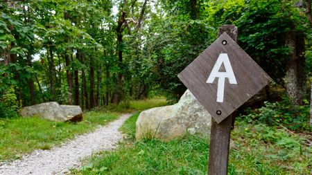 Appalachian Trail sign on a trail in the woods