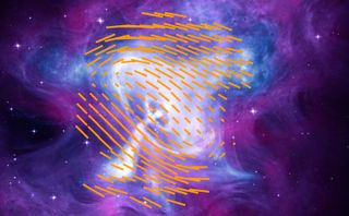 The orange lines highlight the shape of the magnetic field associated with the Crab Nebula, as determined by NASA’s IXPE spacecraft. The lines are superimposed on a composite image made with data from the Chandra X-Ray Observatory (blue and white), Hubble Space Telescope (purple), and Spitzer Space Telescope (pink).