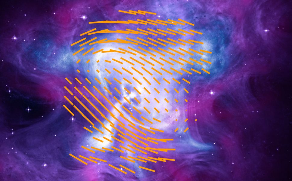 Através do uso da sonda IXPE da NASA, foi possível determinar a forma do campo magnético associado à Nebulosa do Caranguejo, evidenciada pelas linhas laranja. Tais linhas foram sobrepostas em uma imagem composta, na qual foram utilizados dados coletados pelo Chandra X-Ray Observatory (nas cores azul e branco), pelo Telescópio Espacial Hubble (na cor roxa) e pelo Telescópio Espacial Spitzer (na cor rosa).