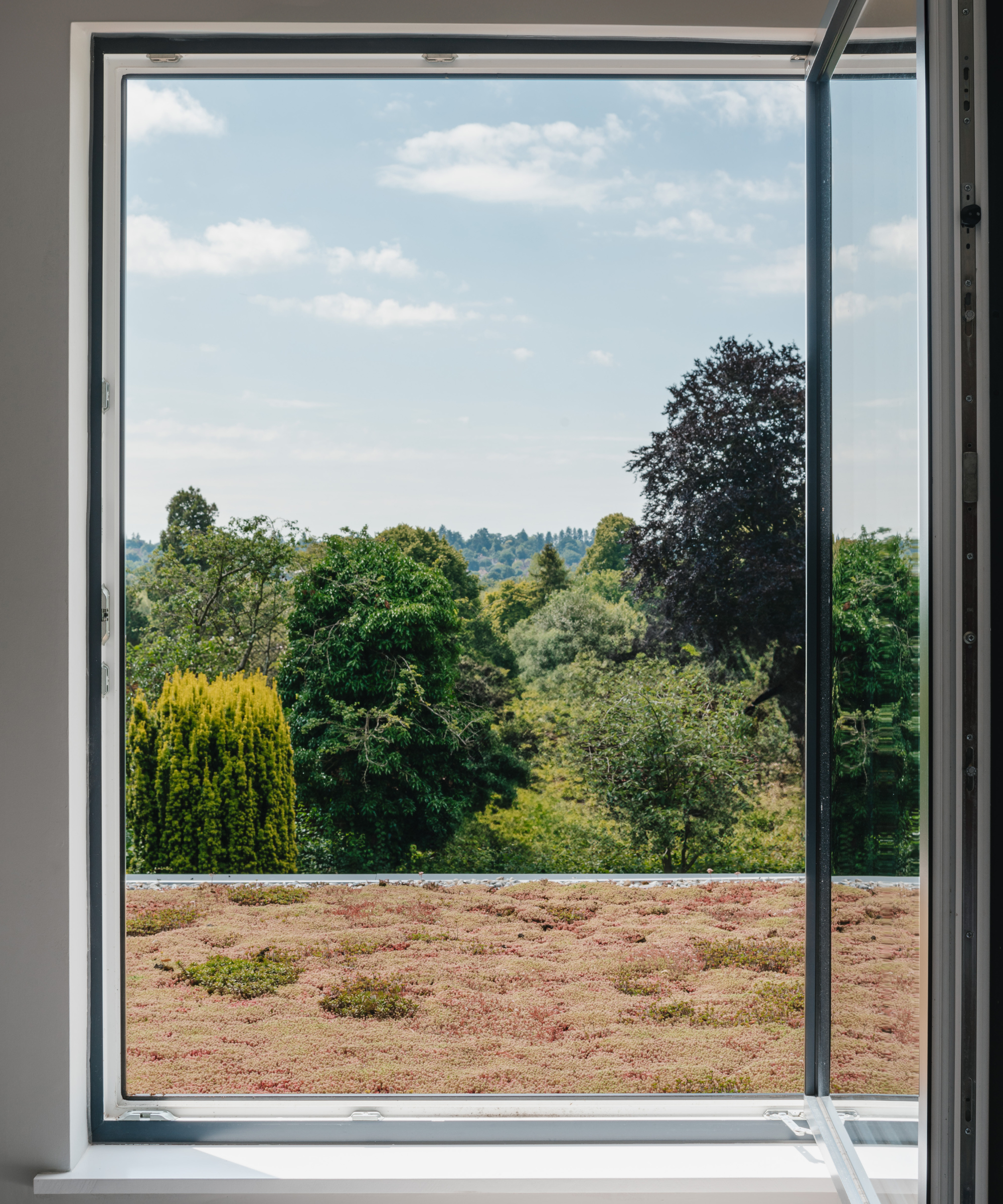 View out of an open window onto the garden with trees in the distance