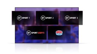 Graphic showing BT Sport's five channels