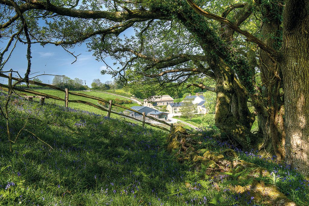 Properties for sale in or near national parks: Beadon Farm, Hennock, Bovey Tracey, South Devon