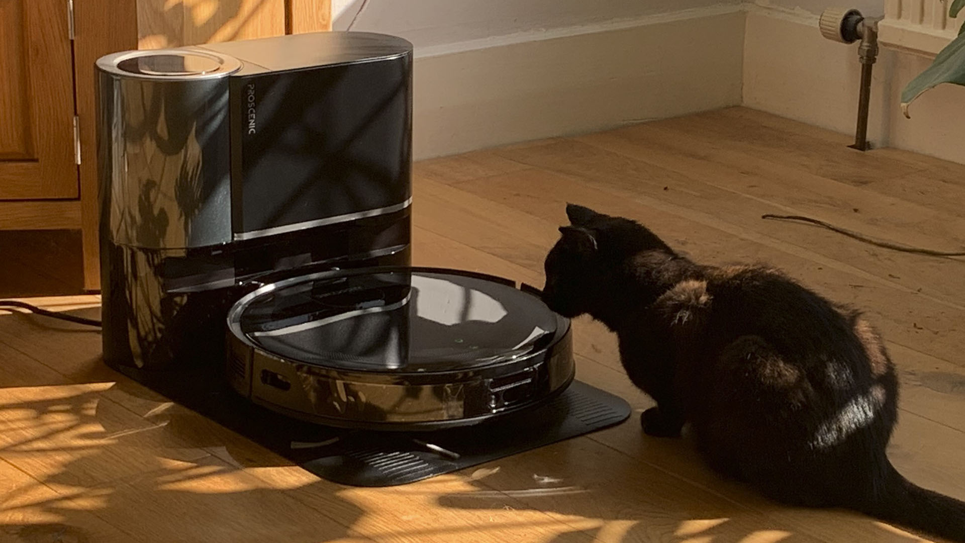 Proscenic Floobot X1 robot vacuum with cat nearby