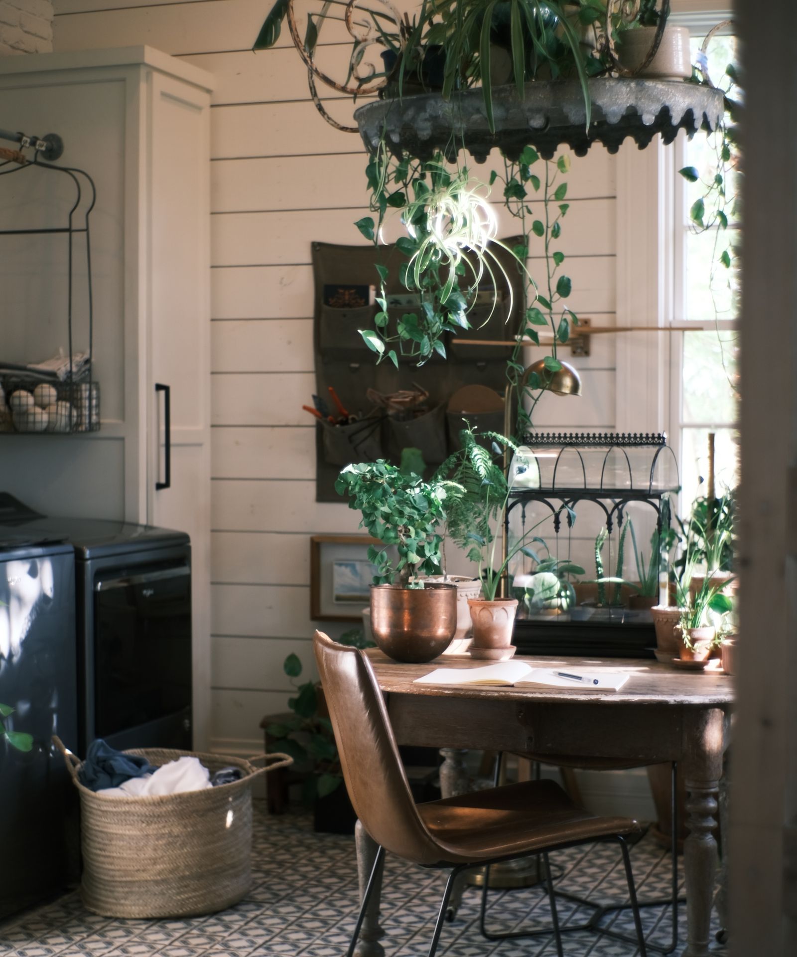 Revealed Joanna Gaines' laundry room plant trend