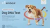 Embark Dog DNA test