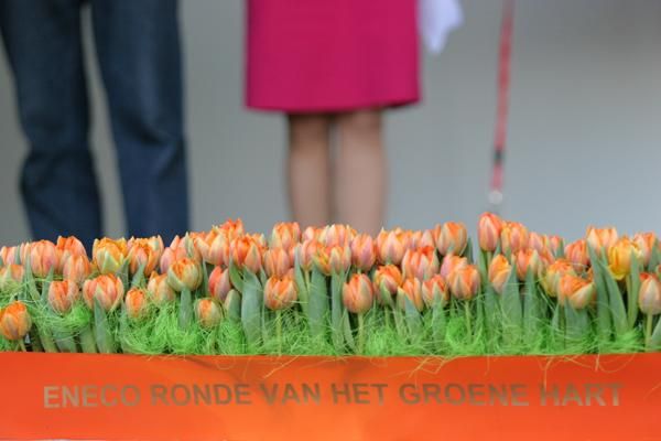 Tulips - must be spring time in Holland!
