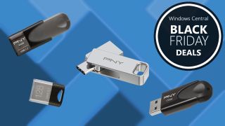 Image of PNY USB flash drives on a blue background for Black Friday.