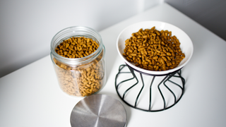 Pot of dried cat food next to one of the best anti-vomit bowls for cats