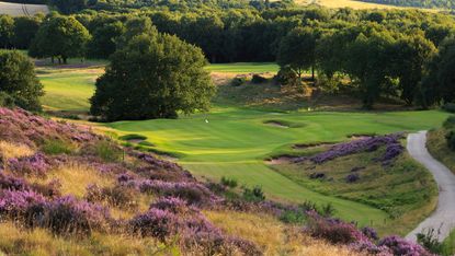 Best Golf Courses in the Midlands - Hollinwell - Hole 13