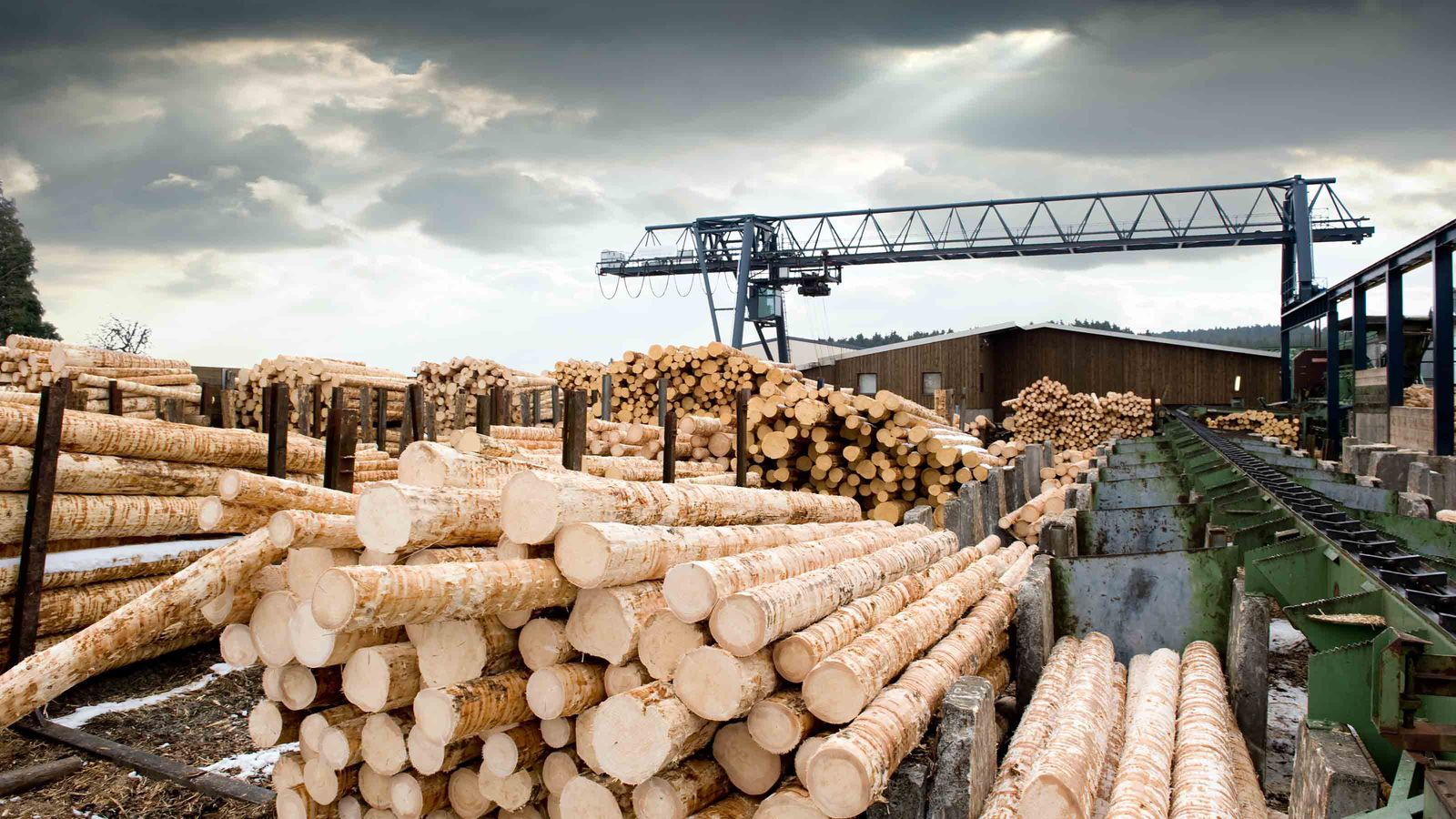 7 Top Lumber Stocks to Play Timber Mania Kiplinger