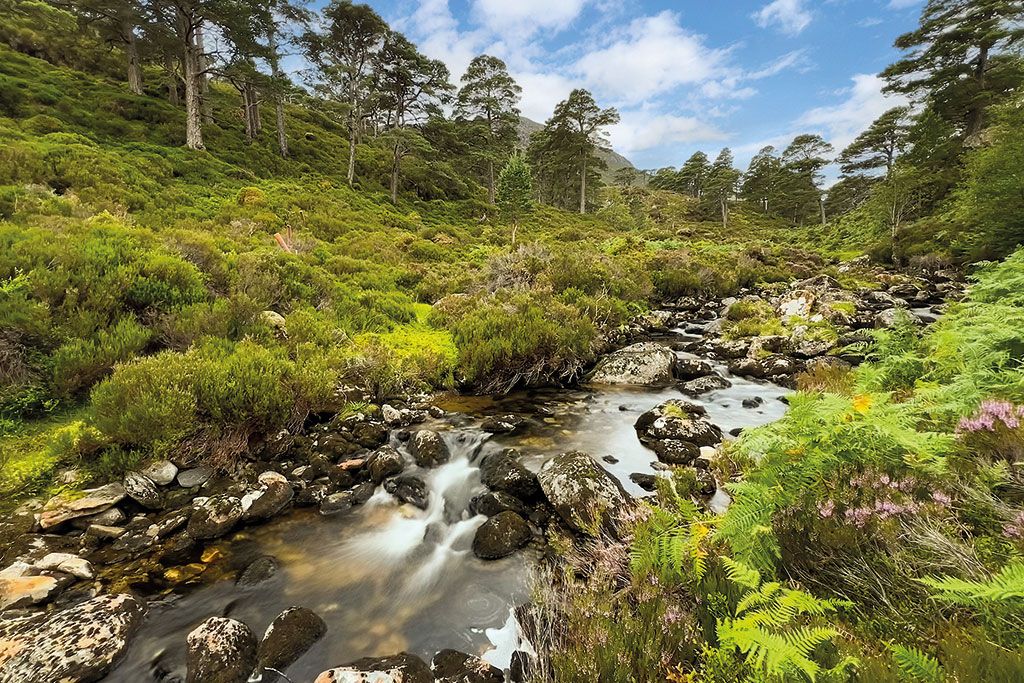 Sporting estates for sale: Mullardoch Estate, Inverness-shire