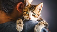 Woman holding a kitten over her shoulder