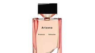 Perfume, Product, Fluid, Water, Glass bottle, Liquid, Cosmetics, Bottle, Plant, Flower,