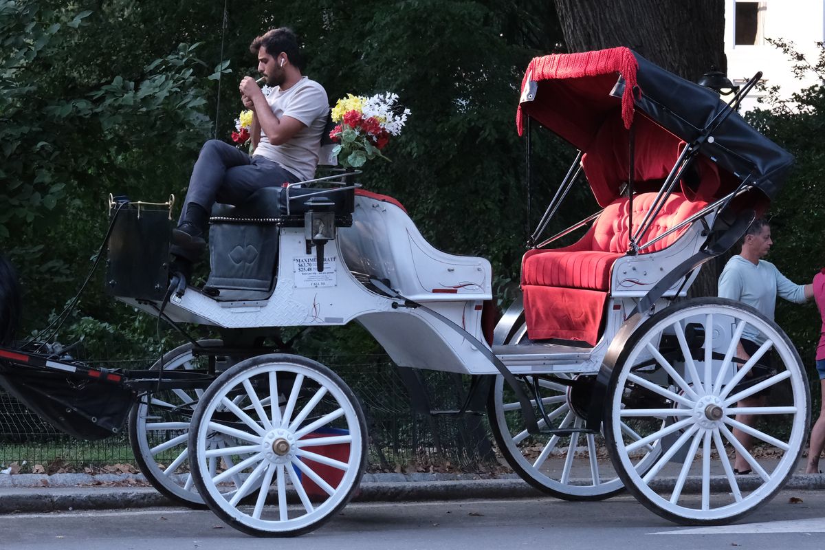 A man sitting in a horse cart in Central Park