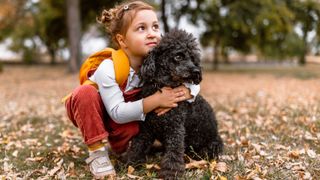 Dog and toddler outside on autumn day