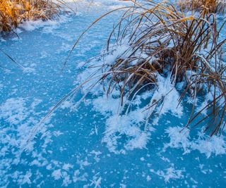Ice patterns on the lake in the reeds