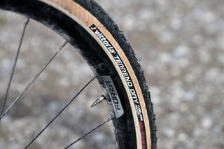 Vittoria Terreno Dry tyre showing sidewall with logo