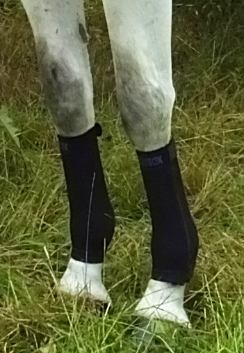 equisox