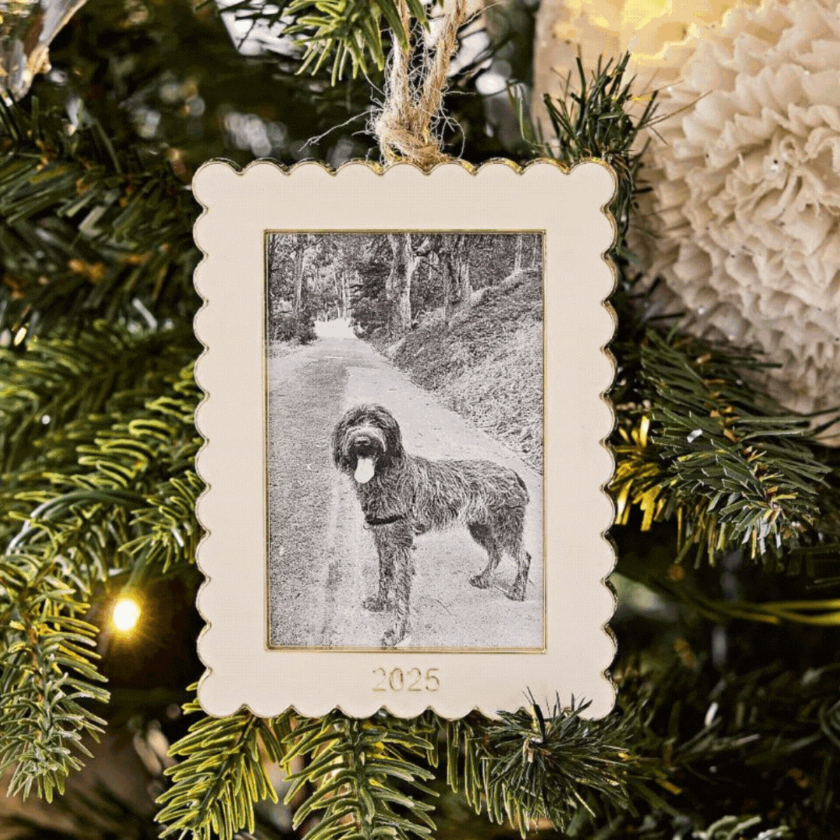 Pottery Barn, Dated Enamel Frame Bauble 2025