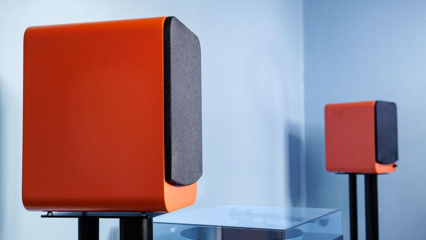 Orange Kanto Ren pair in front of a blue wall on a pair of stands