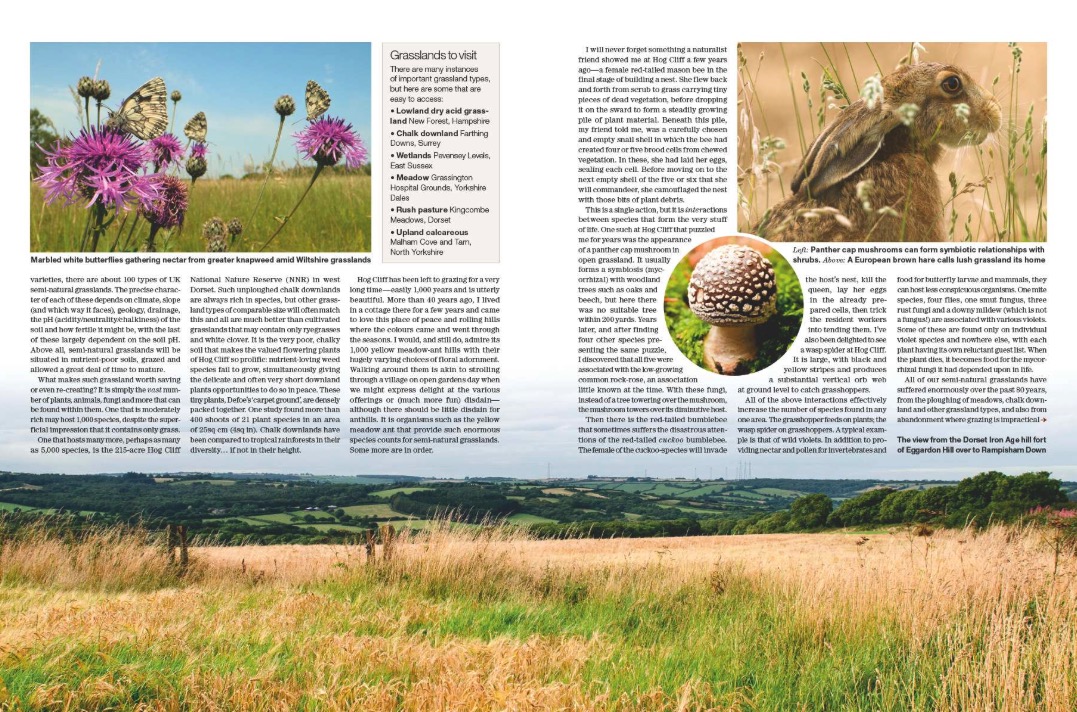 Spreads from Country Life 6 May 2026