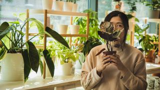 Woman holding a houseplant