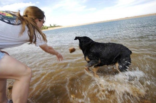 When not winning World Cups, Compton relaxes with her dogs.