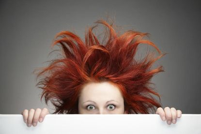 Redheads could become extinct, thanks to climate change