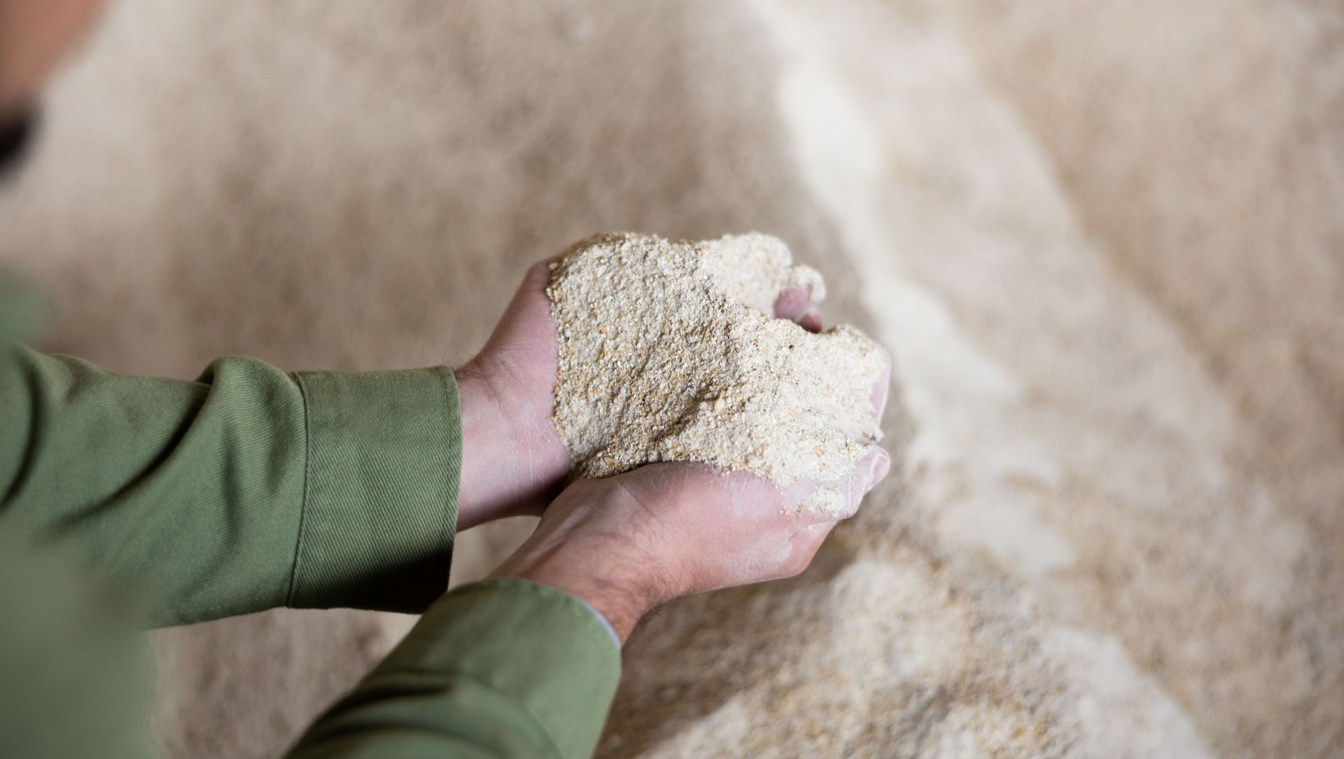 What is corn gluten meal and how can it benefit my yard? Tom's Guide