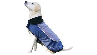 Rosewood LED Jacket dog coat