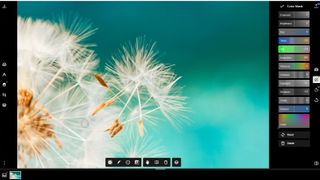 The best online photo editor - Polarr