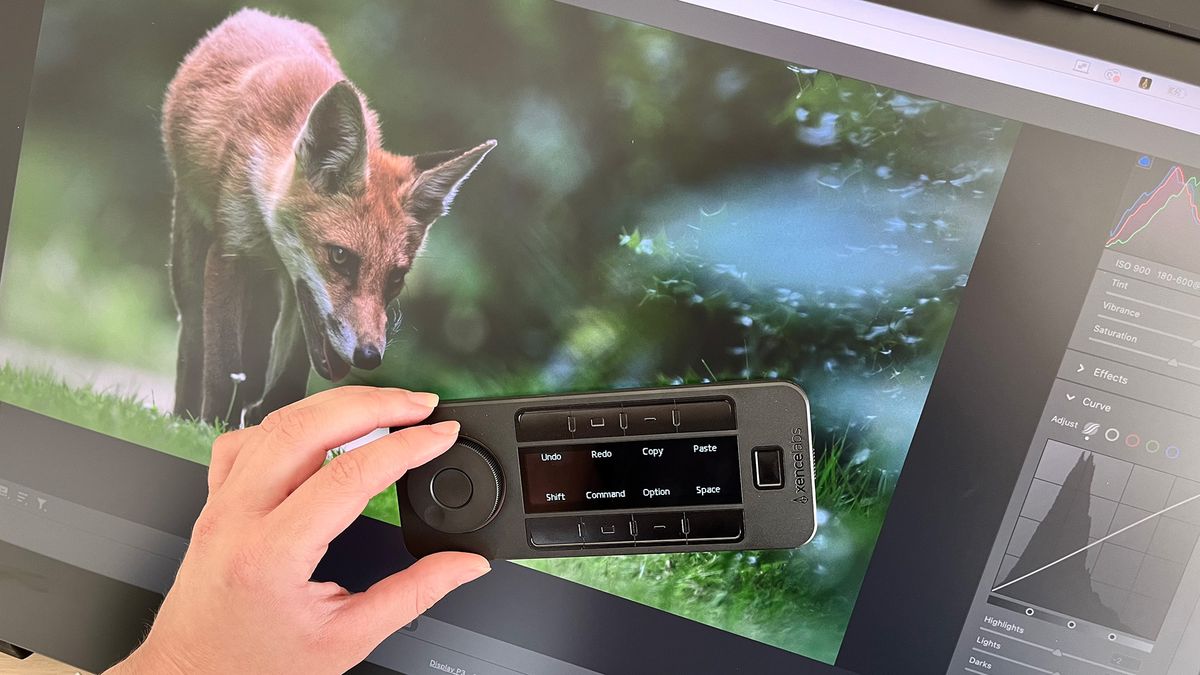 Xencelabs Quick Keys remote resting on Pen Display 24+ with image of fox on the screen