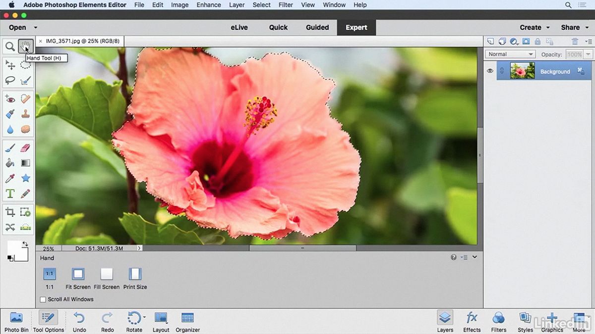 photoshop elements lessons