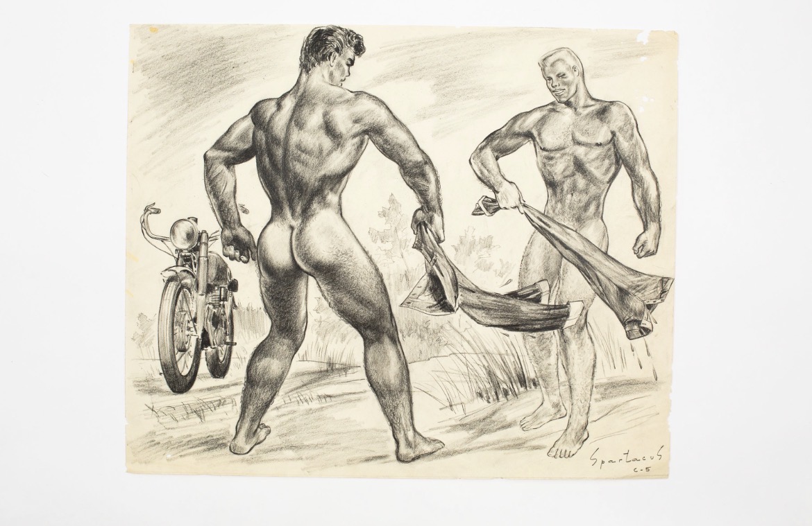 Illustrations of male bodybuilders