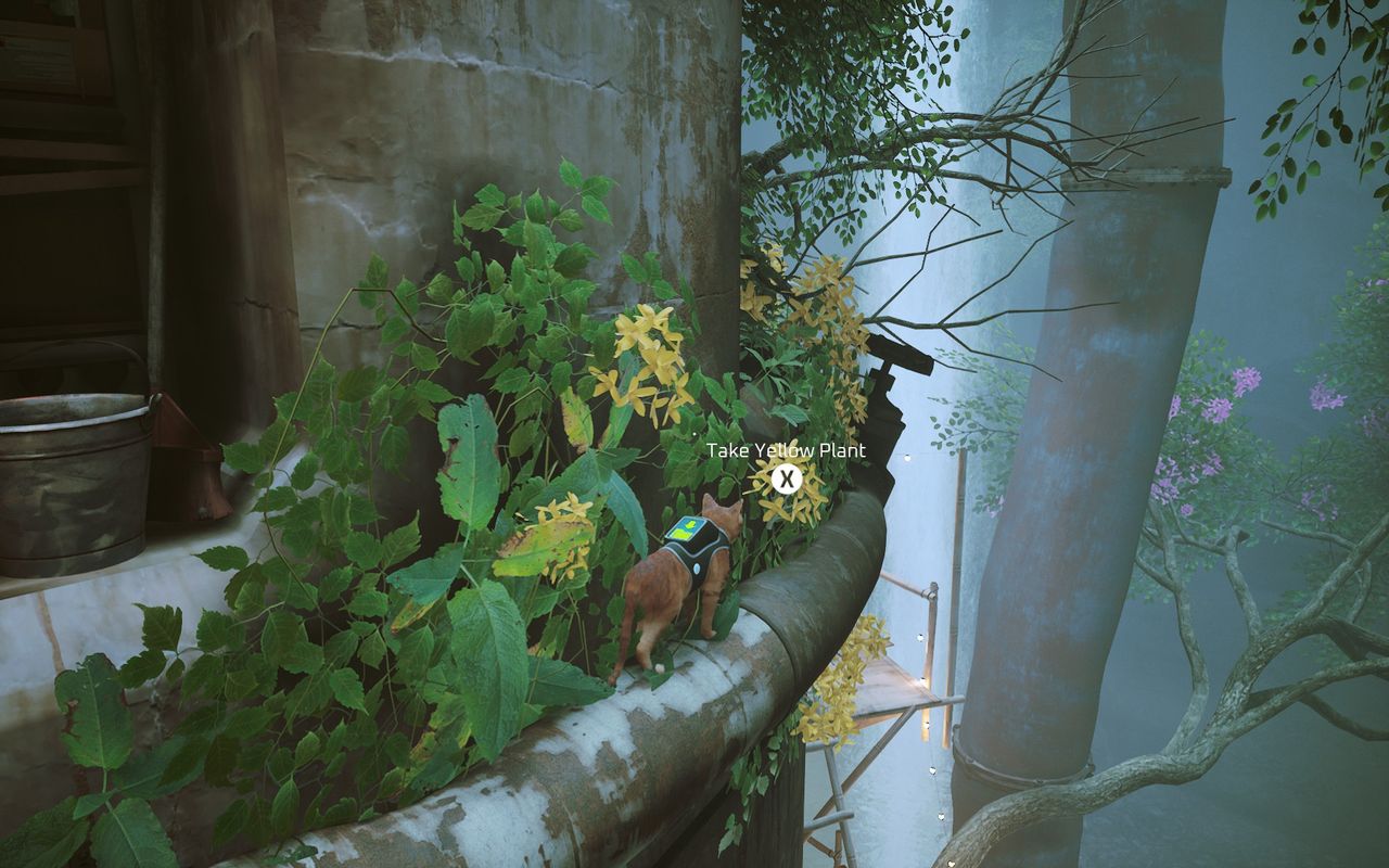 stray yellow flowers