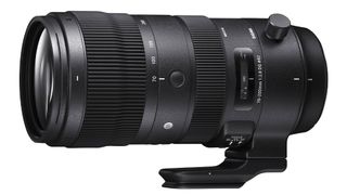 Best Nikon telephoto: Sigma 70-200mm f2.8 DG OS HSM Sport