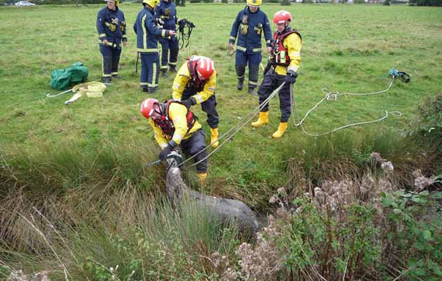 Credit: Cambridgeshire Fire and Rescue Service