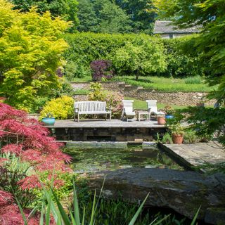 garden with bench