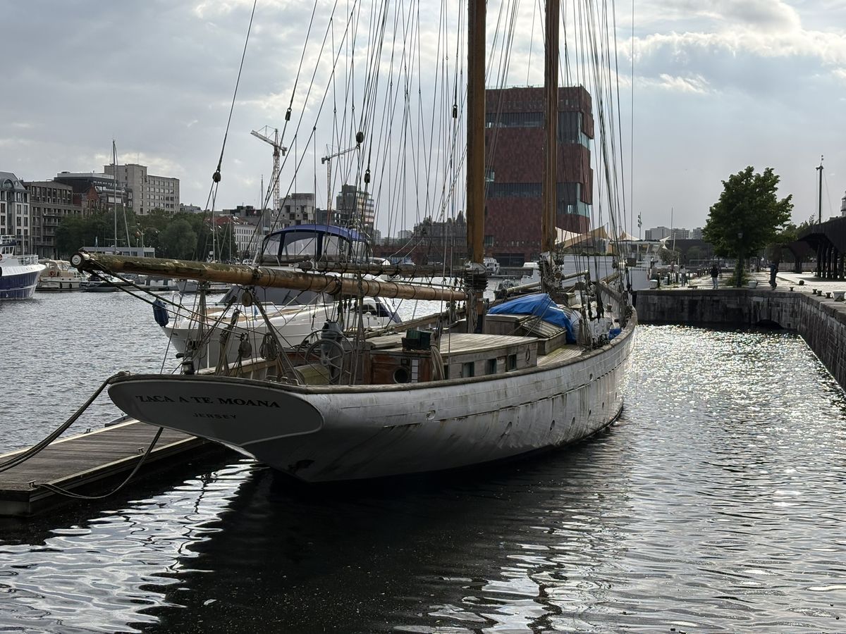 iPhone 16 voorbeeldfoto
