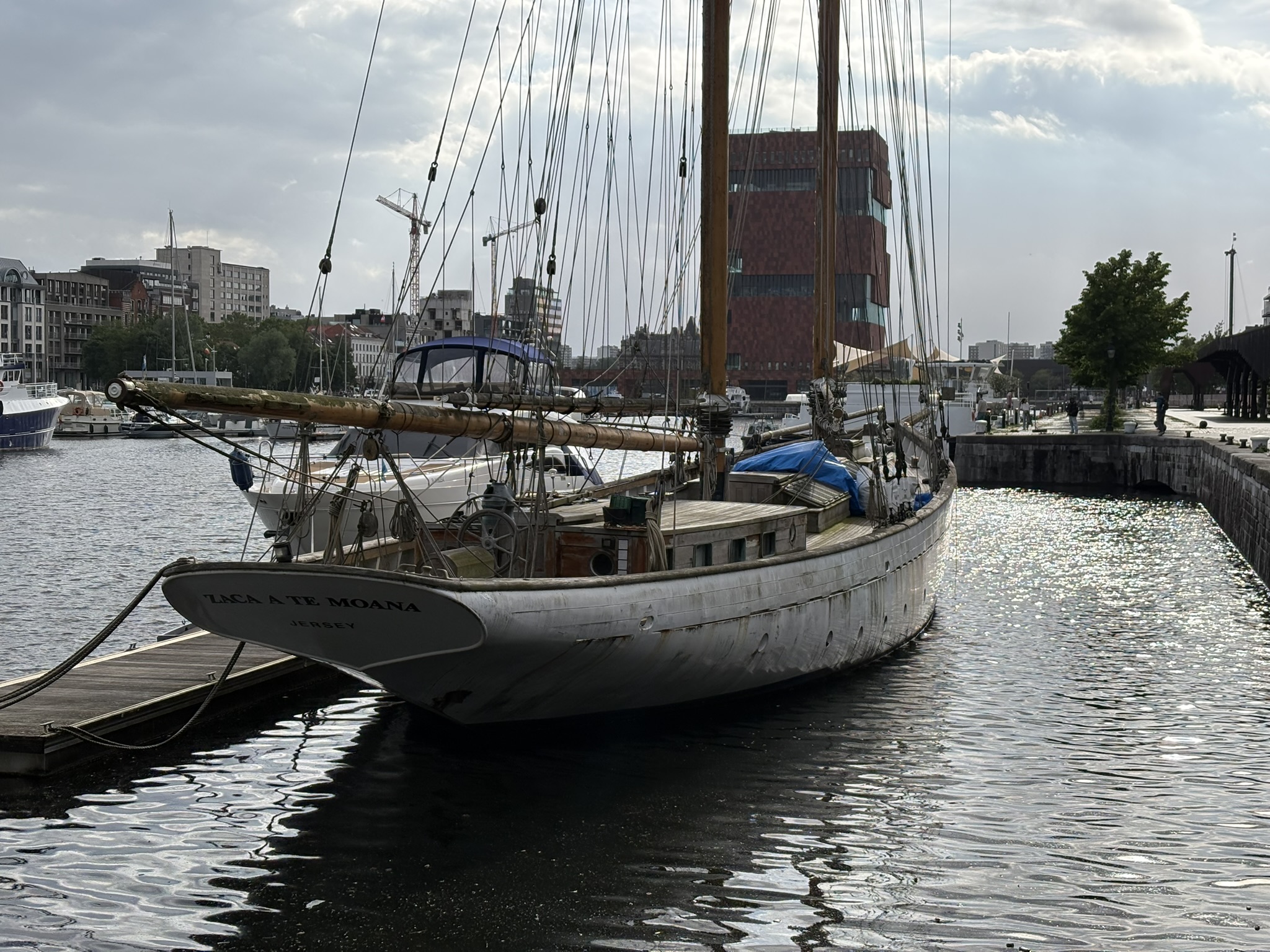 iPhone 16 voorbeeldfoto