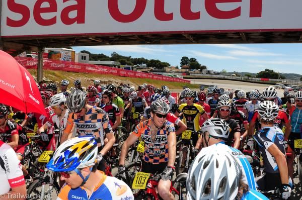 The elite men's cross country field was massive