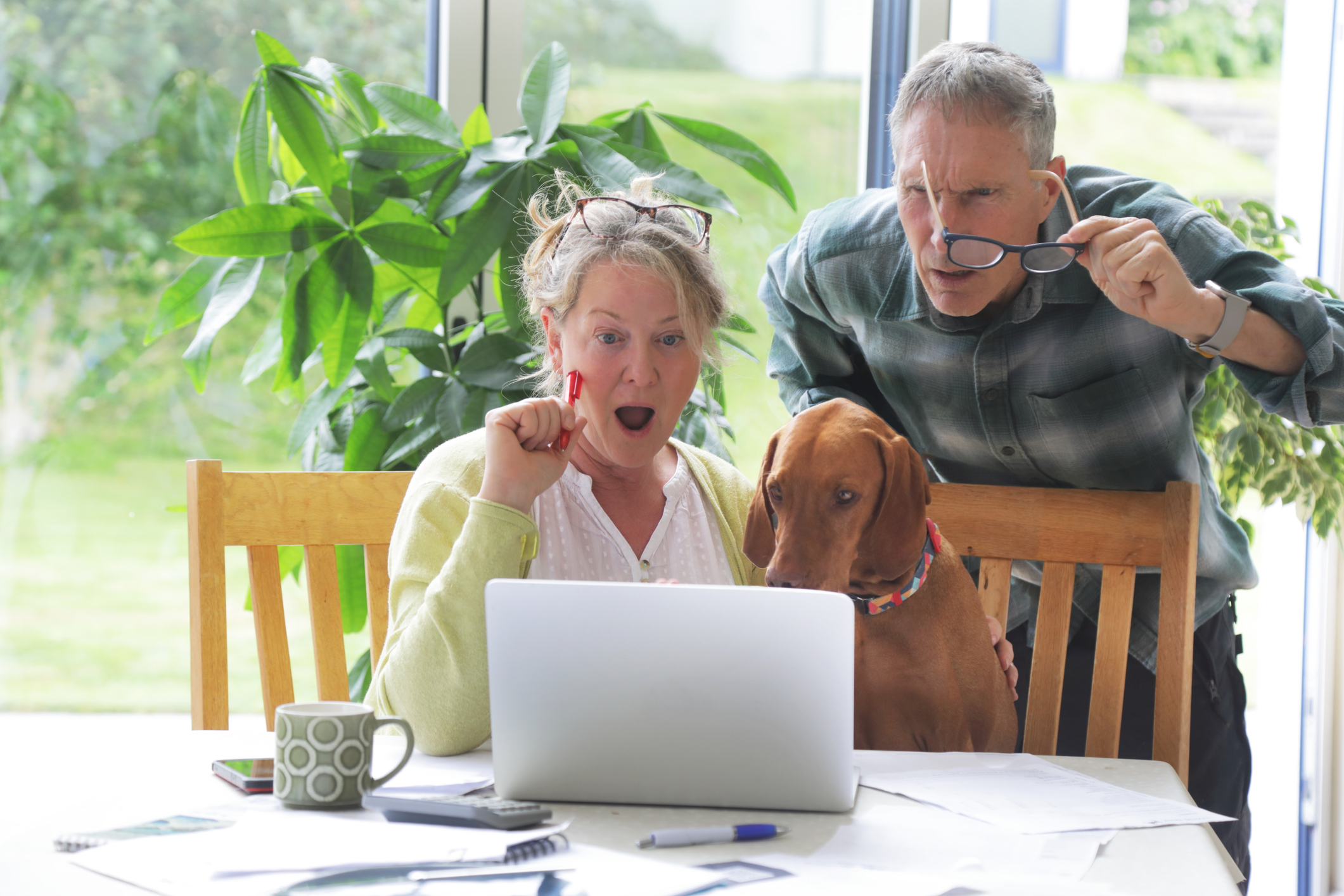 senior couple at home looking shocked at laptop screen
