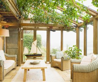 Sun room filled with houseplants