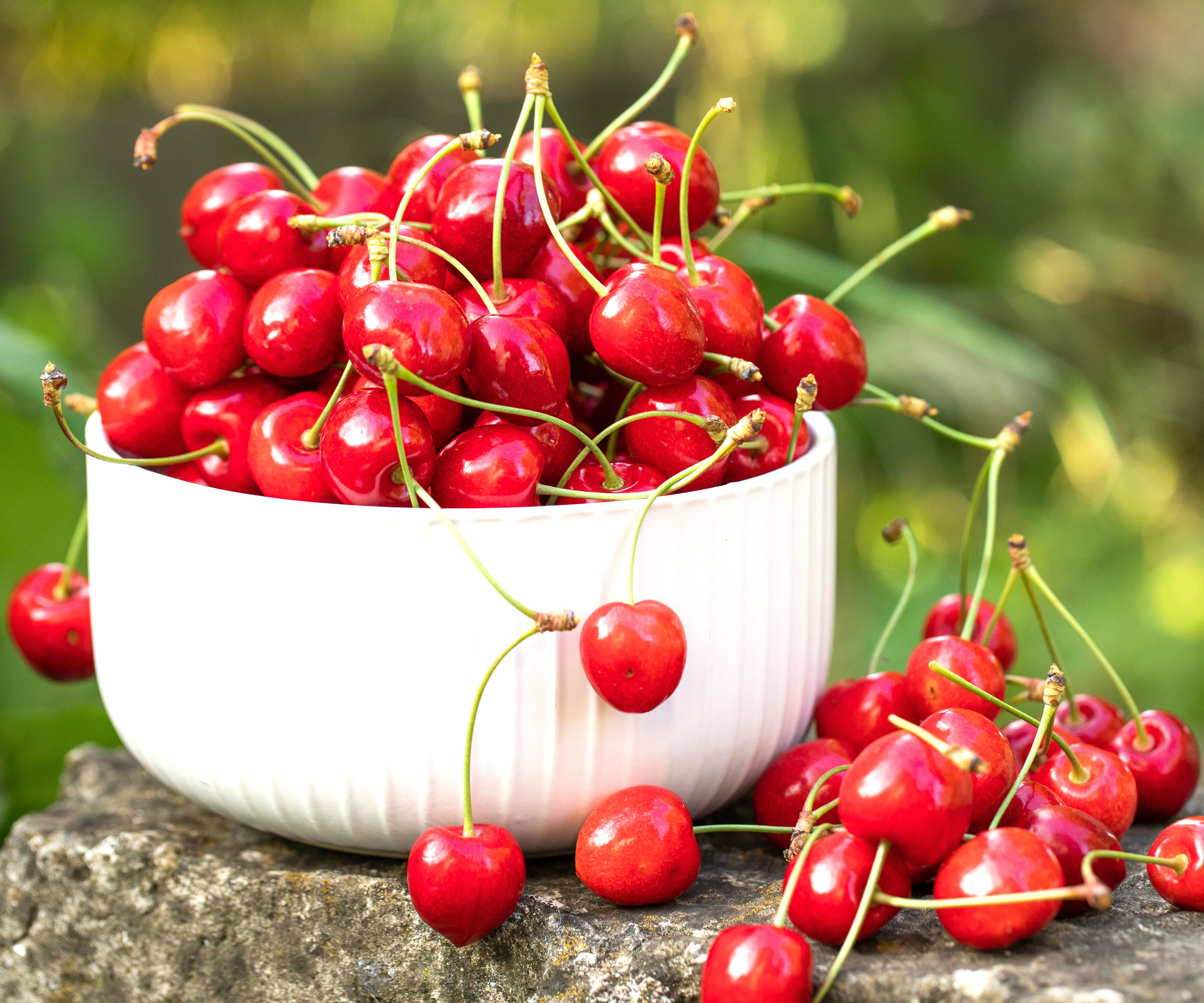 cherry fruits in white bowl on stone