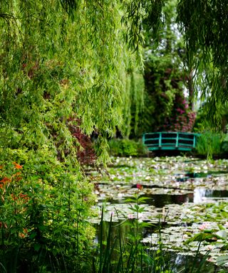 Monet's garden in Giverny, France