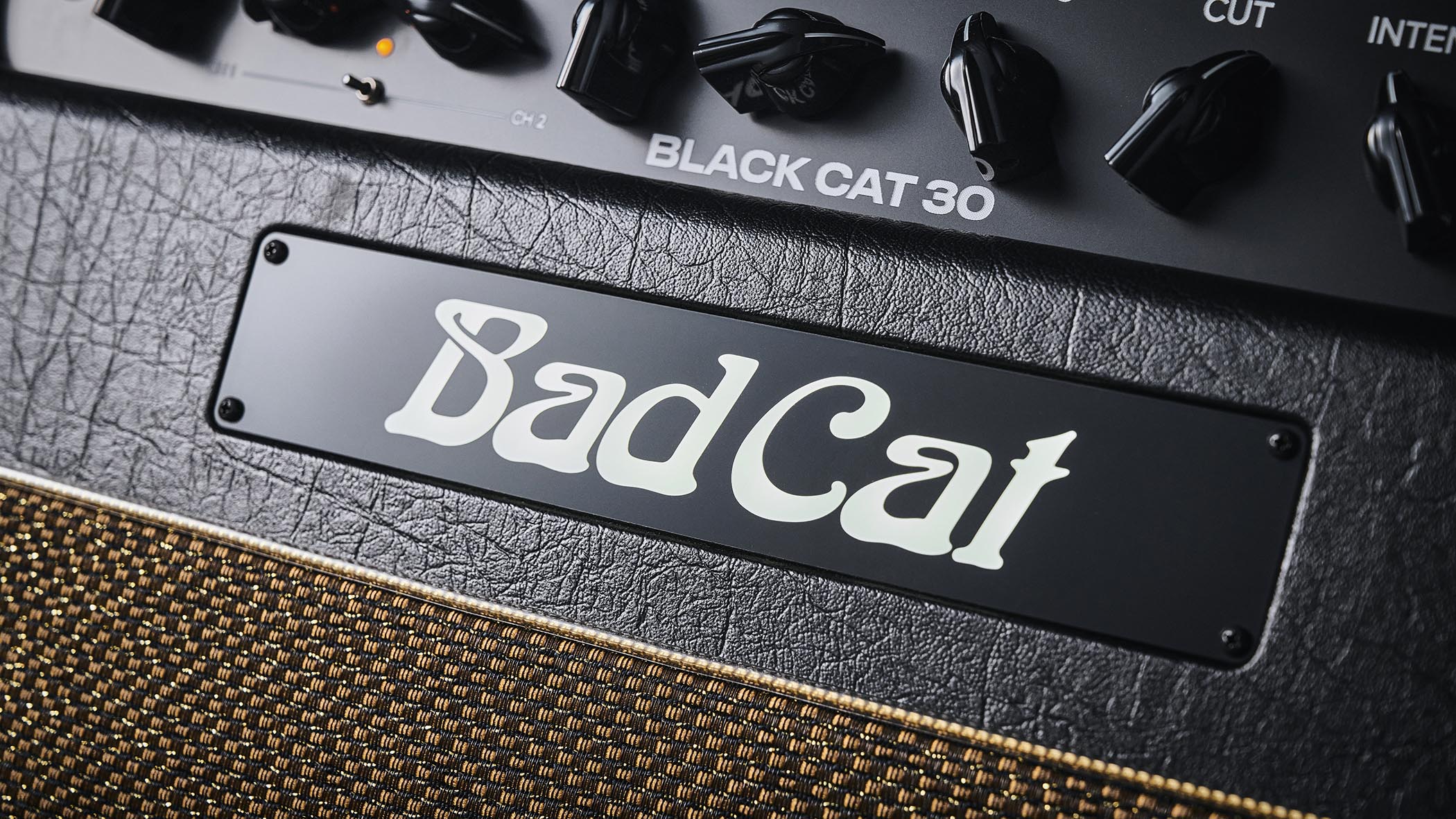 The Bad Cat Mod Shop Black Cat combo, shot in closeup.