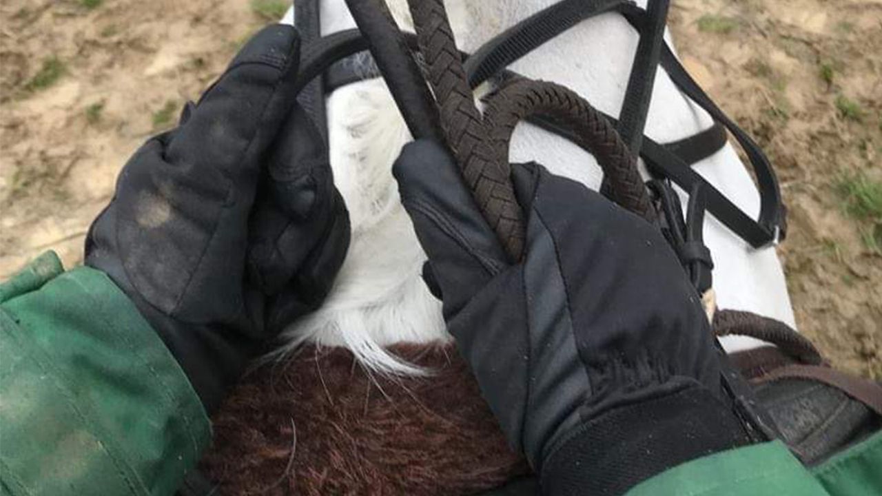 Equetech Storm waterproof riding gloves